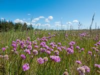 inselzeit-fehmarn_280744596